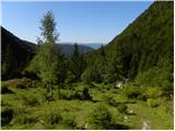 Tinčkova koča - Pautz/Zelenjak